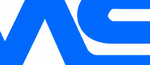 Weishan logo